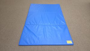 Blue EnviroSafe Mat