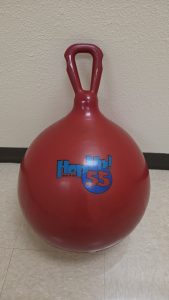 Hippity Hop Ball