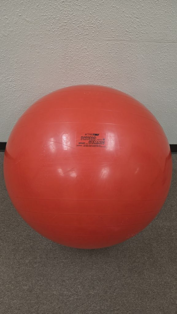 Therapy Ball Red 95 cm